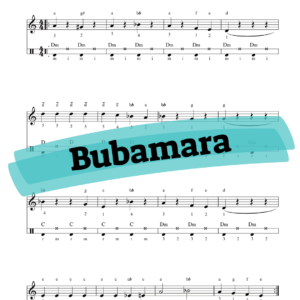 Bubamara super easy notation sheet assi rose methods - kleyzmer gypsy european east balkan russian gypsy music how to play learn chords bass lines on accordion