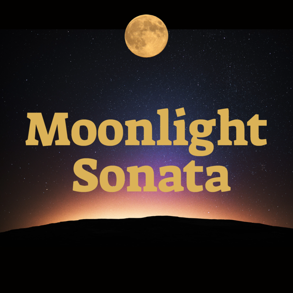 Moonlight Sonata on D minor for Piano, for Accordion or for Solo ...